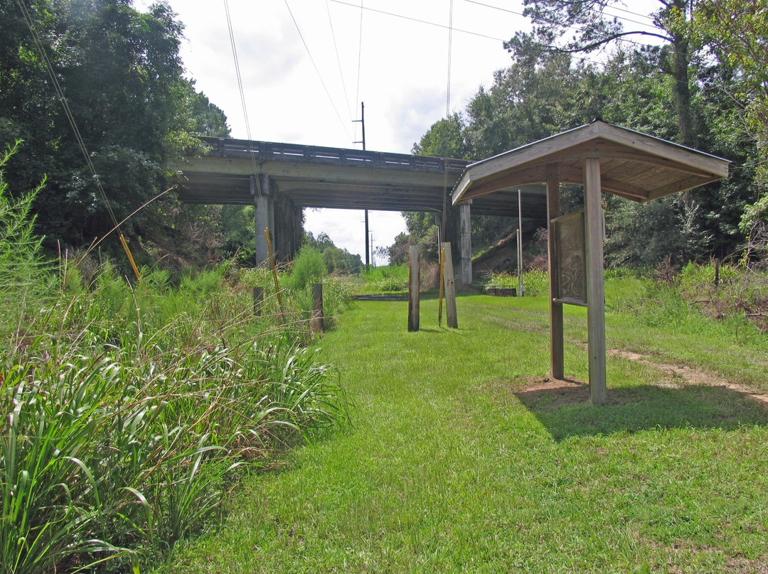 New River Linear Trail景点图片