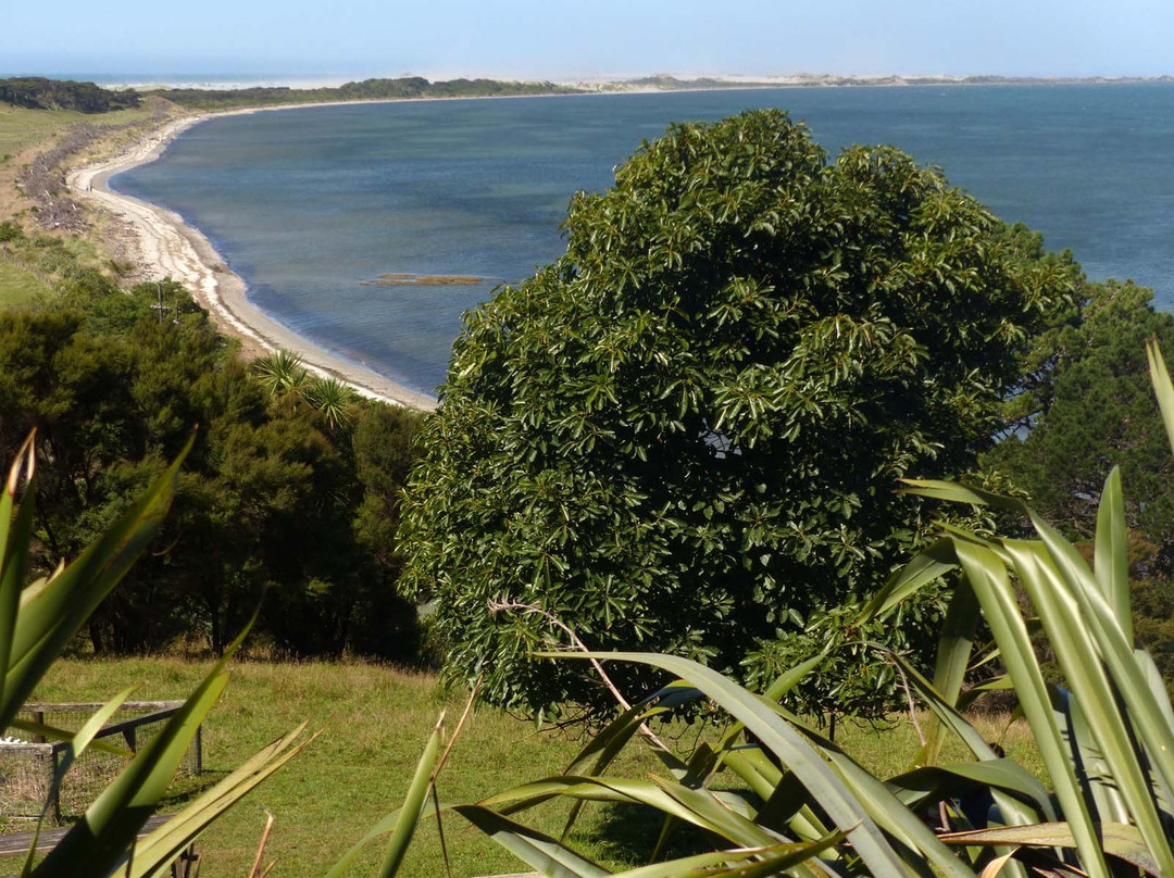 Farewell Spit and Puponga Farm Park Tracks景点图片