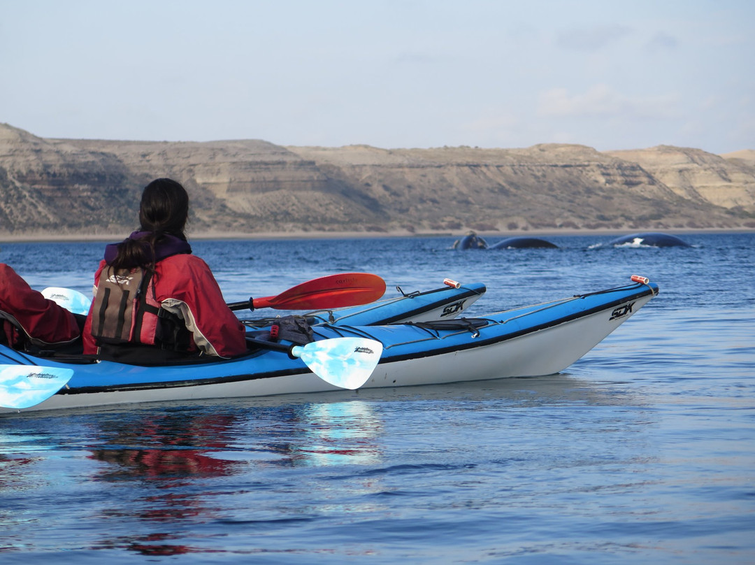 Patagonia Explorers Sea Kayak景点图片