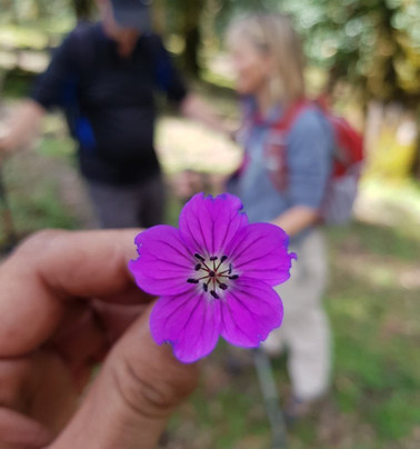 Vista Trip-里希克虚必去景点