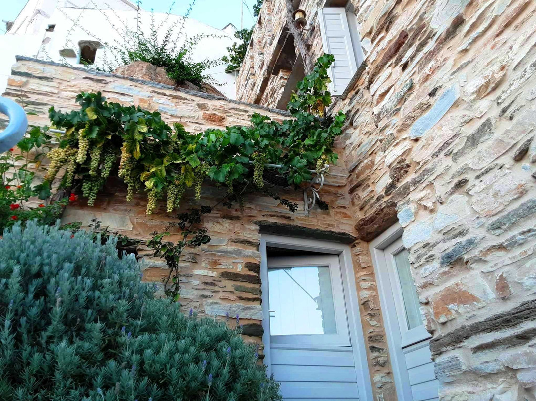 The Wine Connoisseurs-帕特雷必去景点