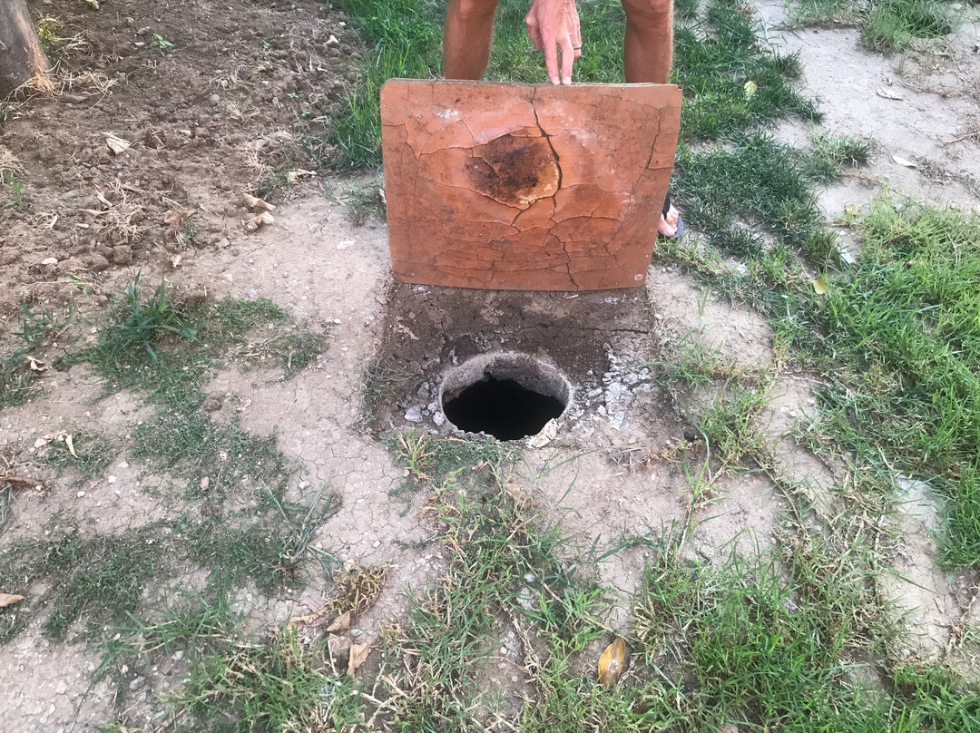 王子酒店及别墅主图