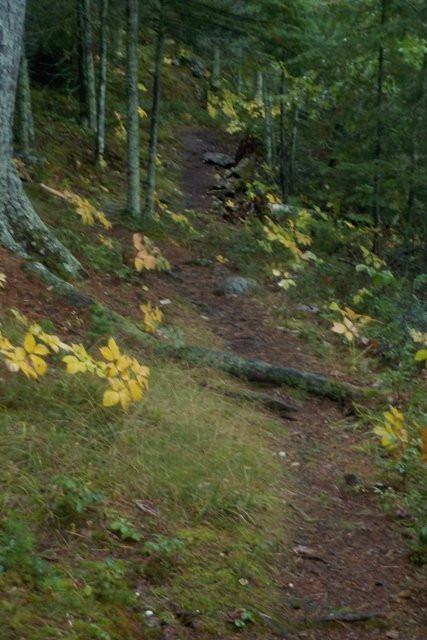 Woodenfrog State Campground