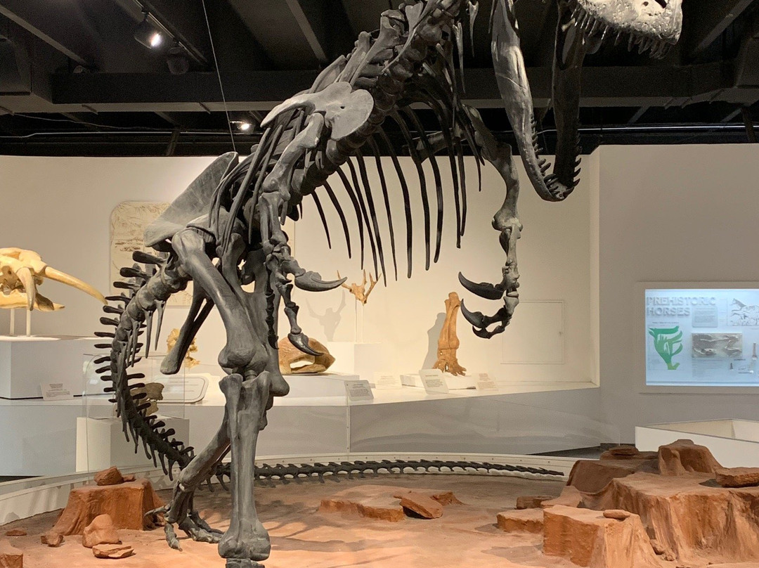 Panhandle-Plains Historical Museum-Canyon必去景点