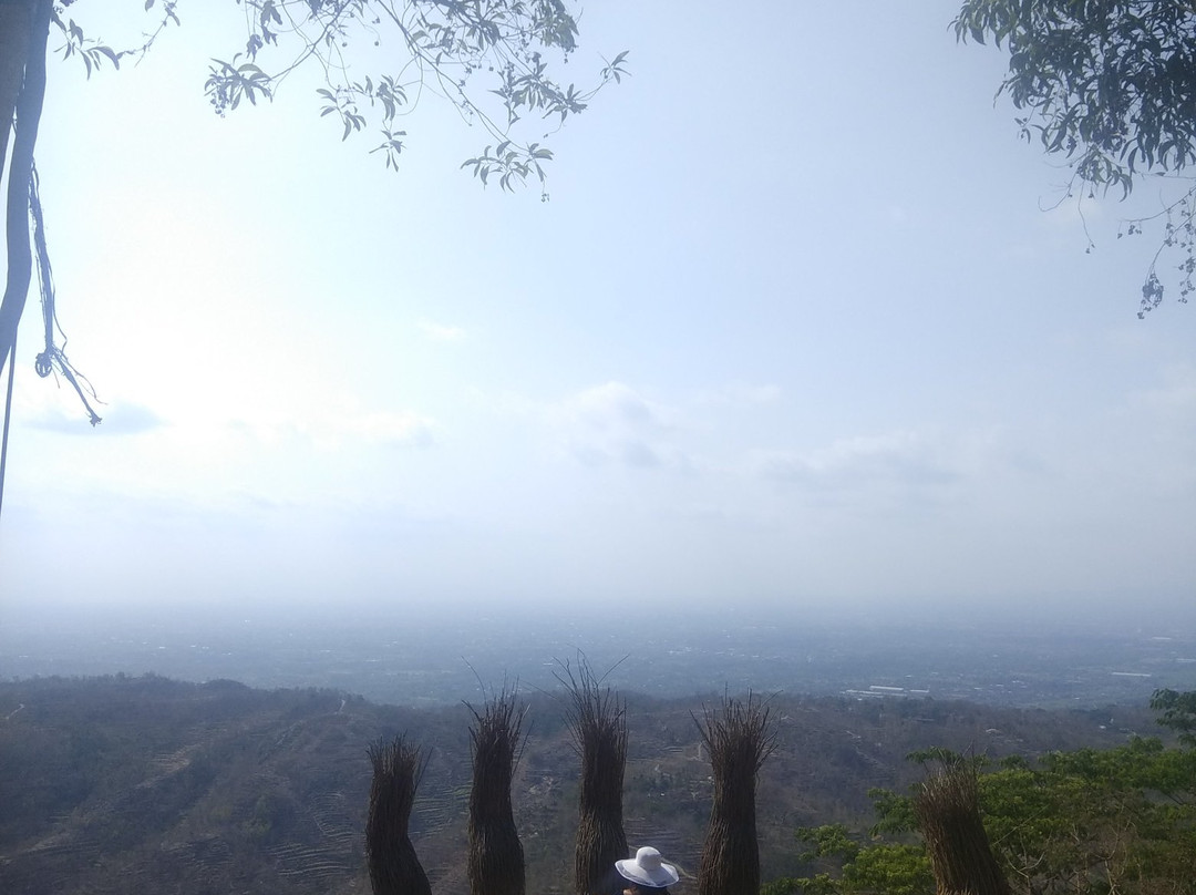 Pinus Pengger Nature Tourism景点图片