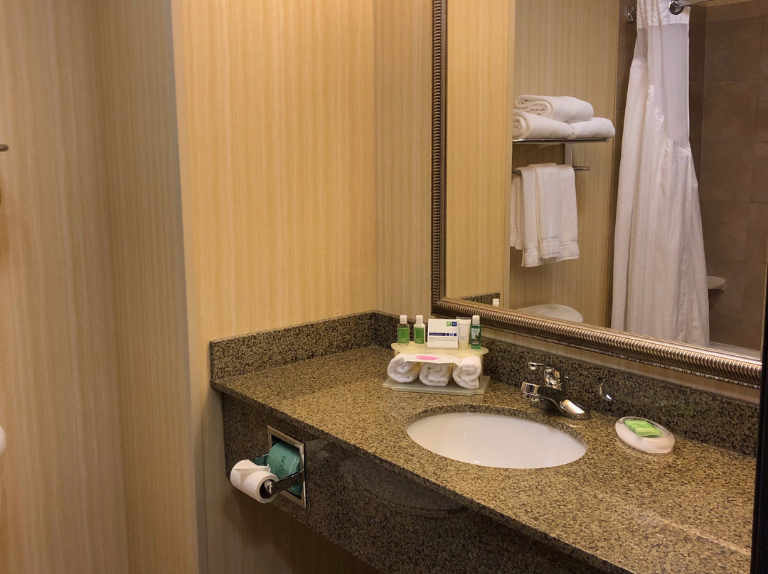 德威特快捷假日&套房酒店（锡拉丘兹）主图