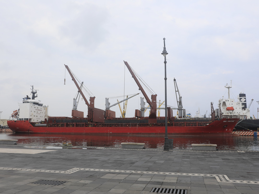 Hotel Emporio Veracruz主图