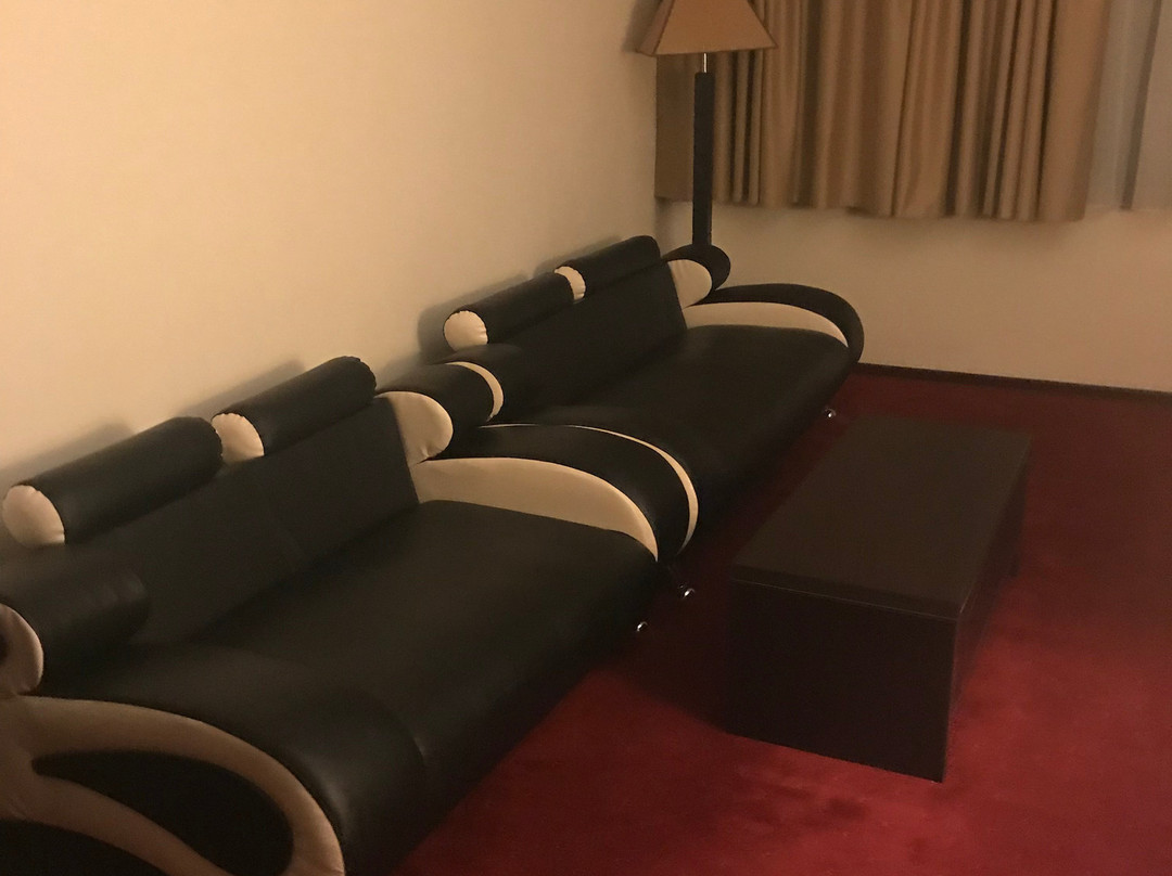 Ramada by Wyndham Iasi City Centre主图