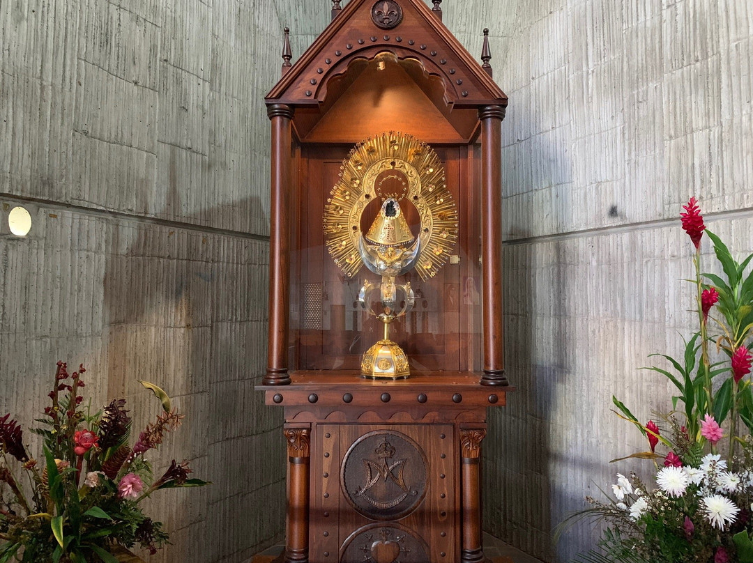 Catedral Sagrado Corazón de Jesús景点图片