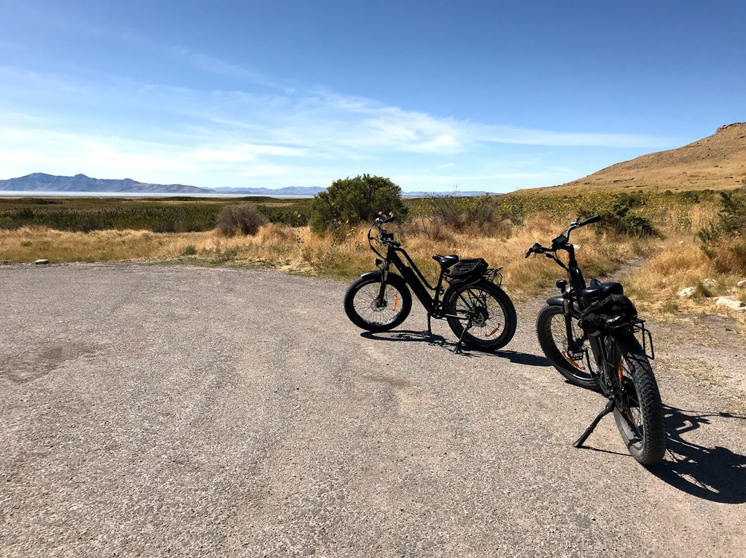 Antelope E Bikes景点图片