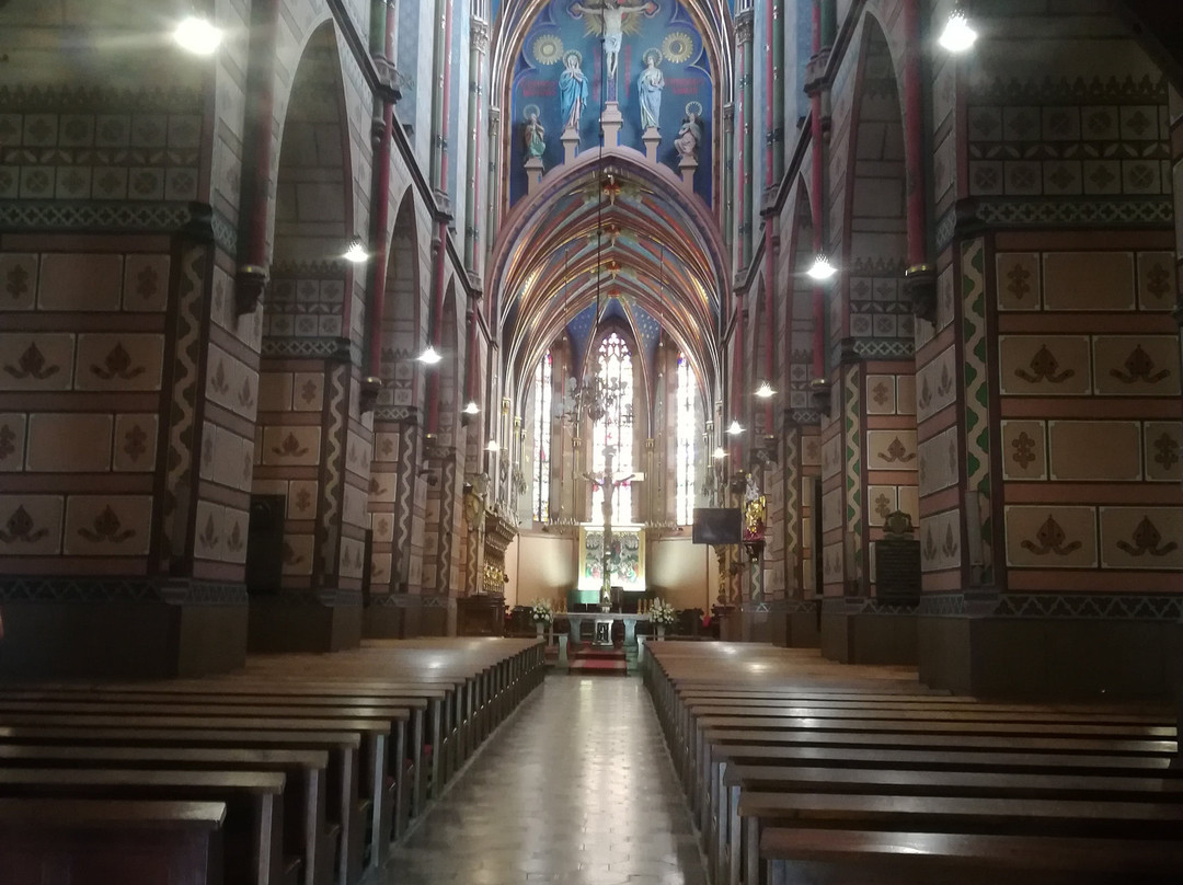 Basilica Cathedral of the St. Mary Assumption, Wloclawek, Poland景点图片