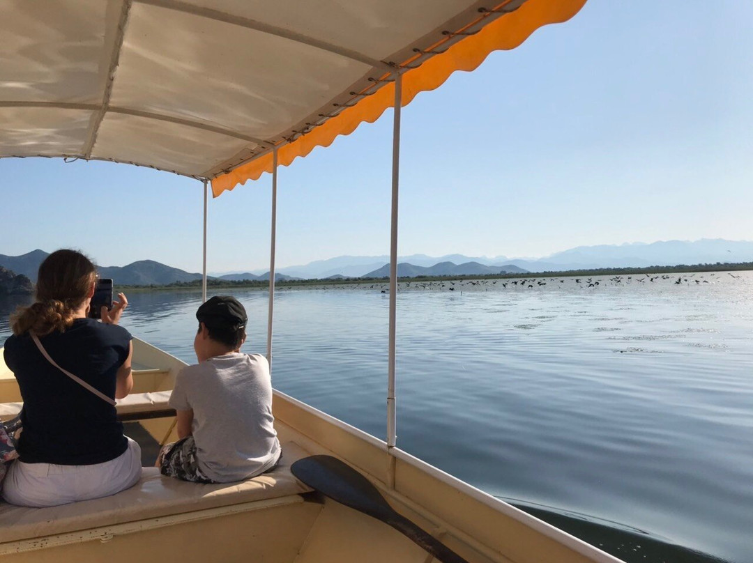 Kormoran Cruising-维尔巴札拉必去景点