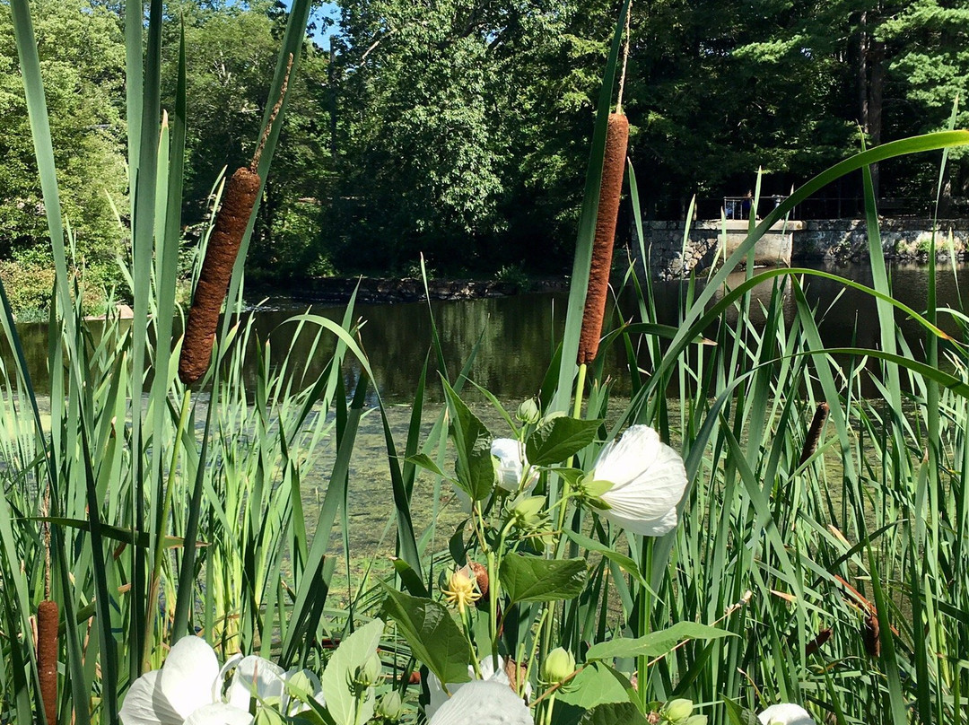 South Natick Dam Park-内蒂克必去景点