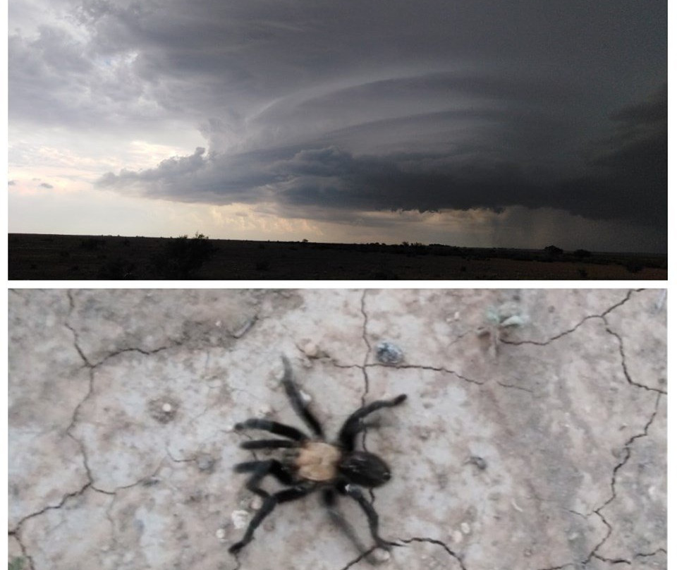 Bells旅游攻略图片