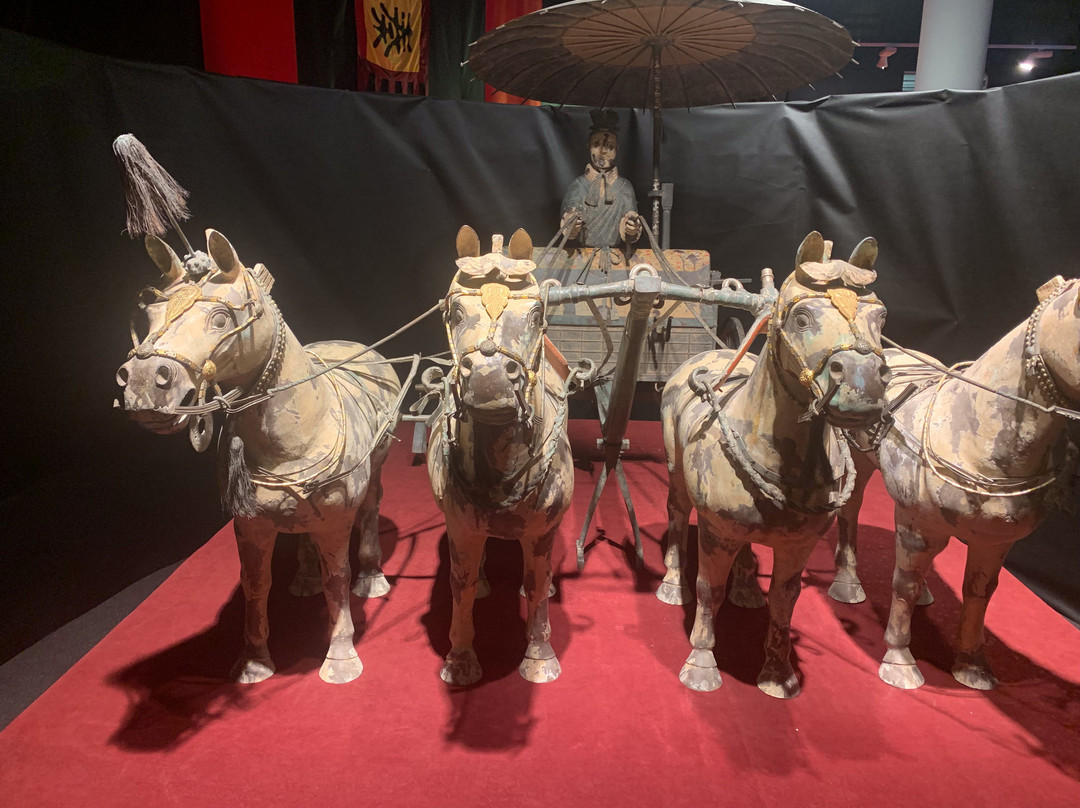 Het Terracottaleger van Keizer Qin景点图片