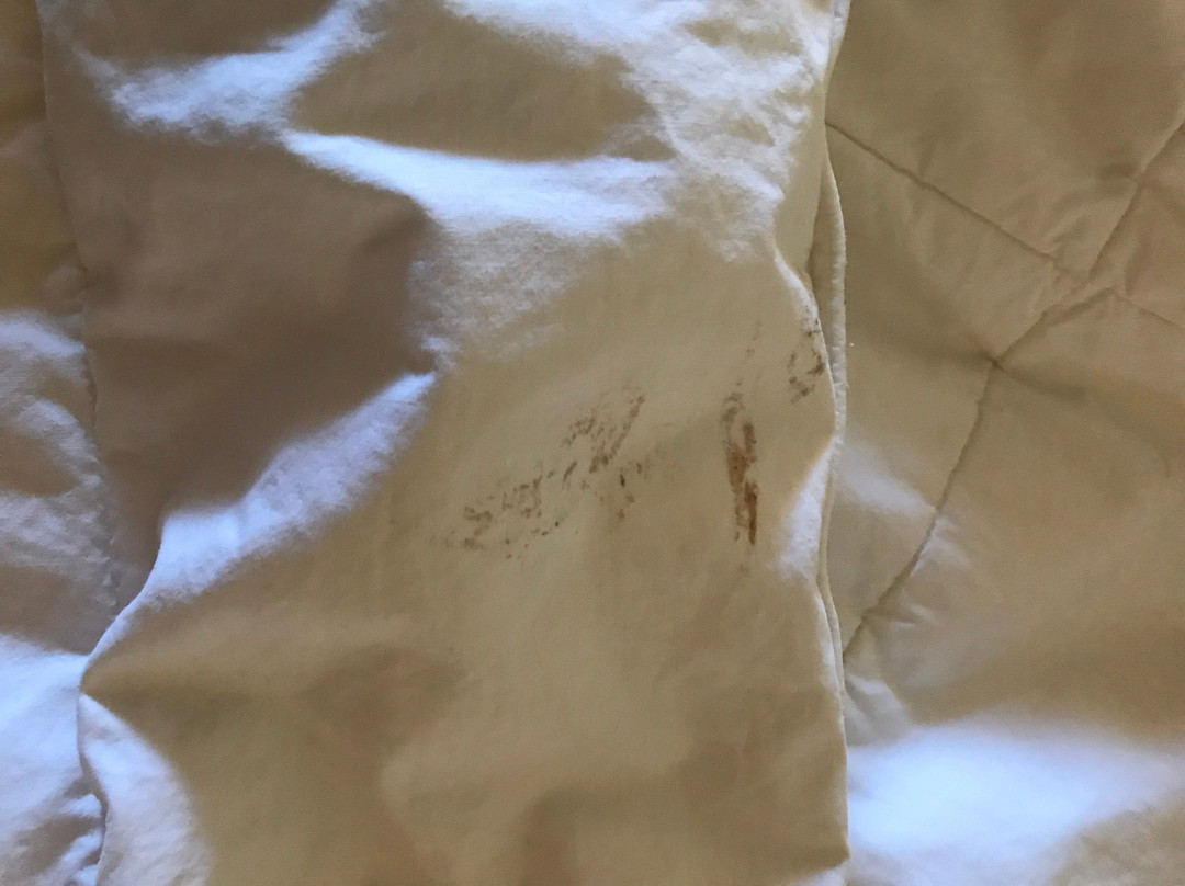 Cerulean Hotel主图