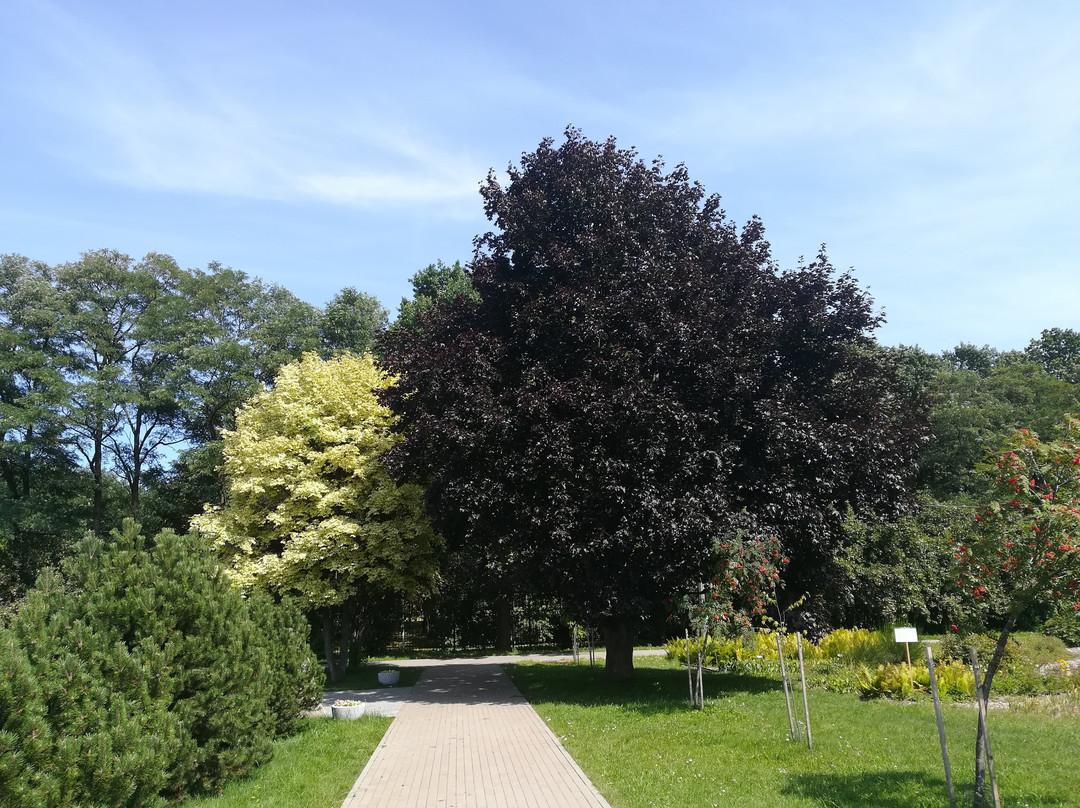 Chelyuskinites Park-明斯克必去景点