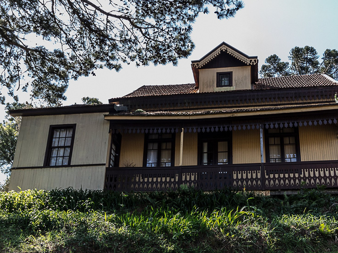 Casa Zinani Museum景点图片
