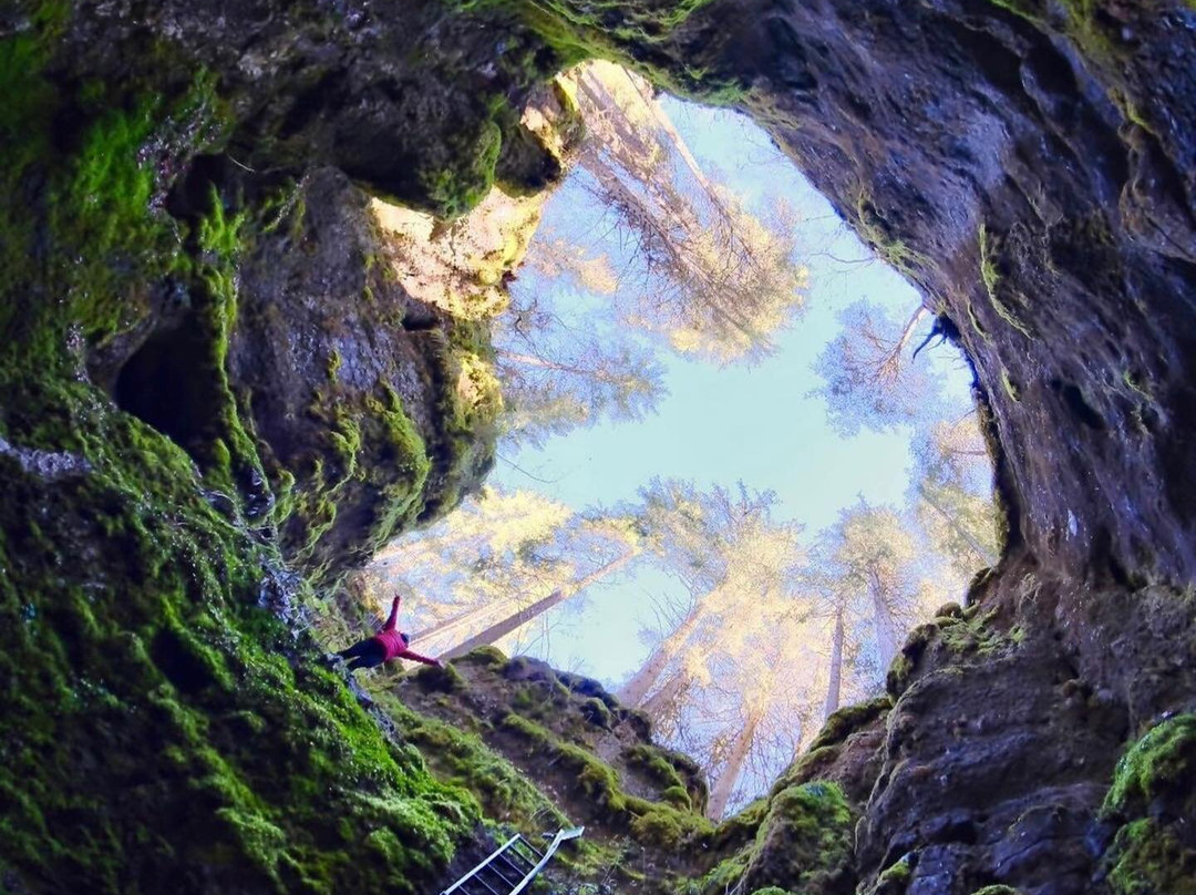 Glacière de Monlési景点图片