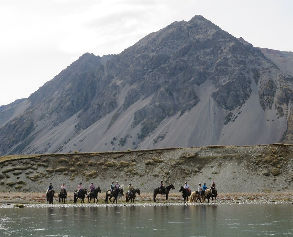 Ahuriri Conservation Park景点图片