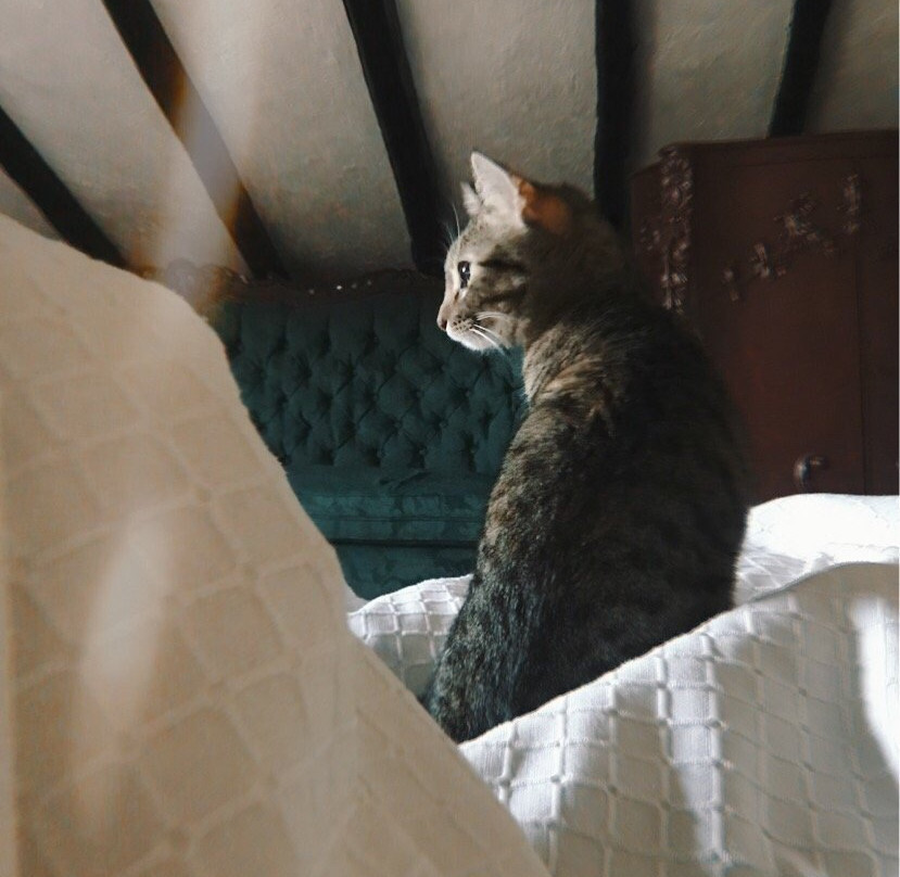 Hacienda San Isidro De Iltaqui主图