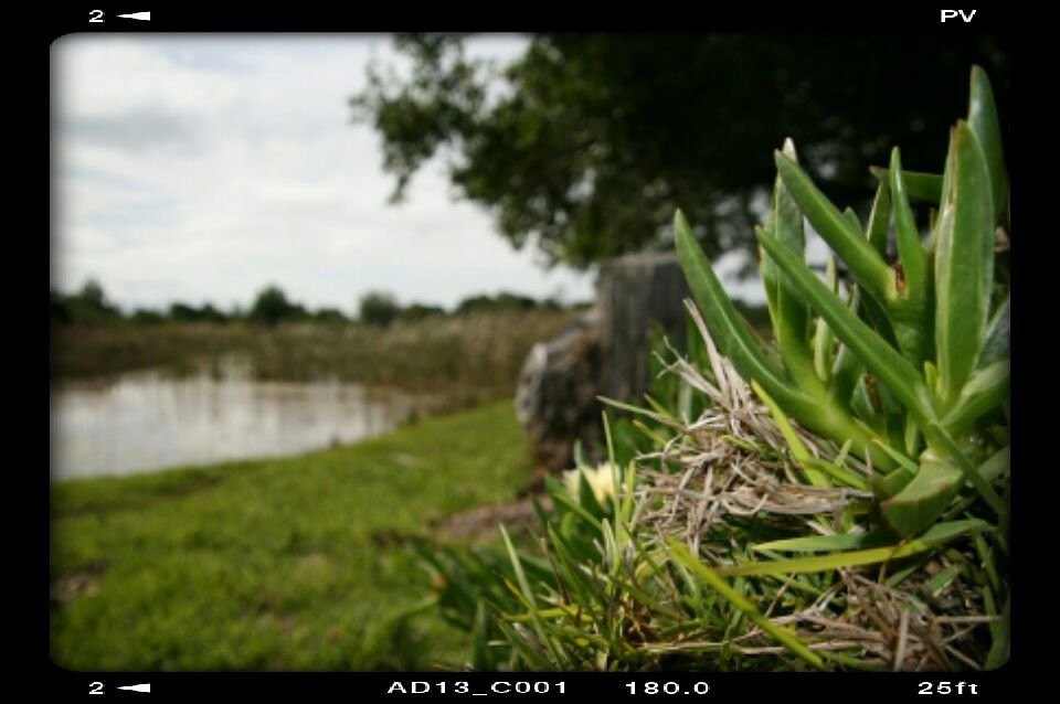 Villa Vilekulla主图