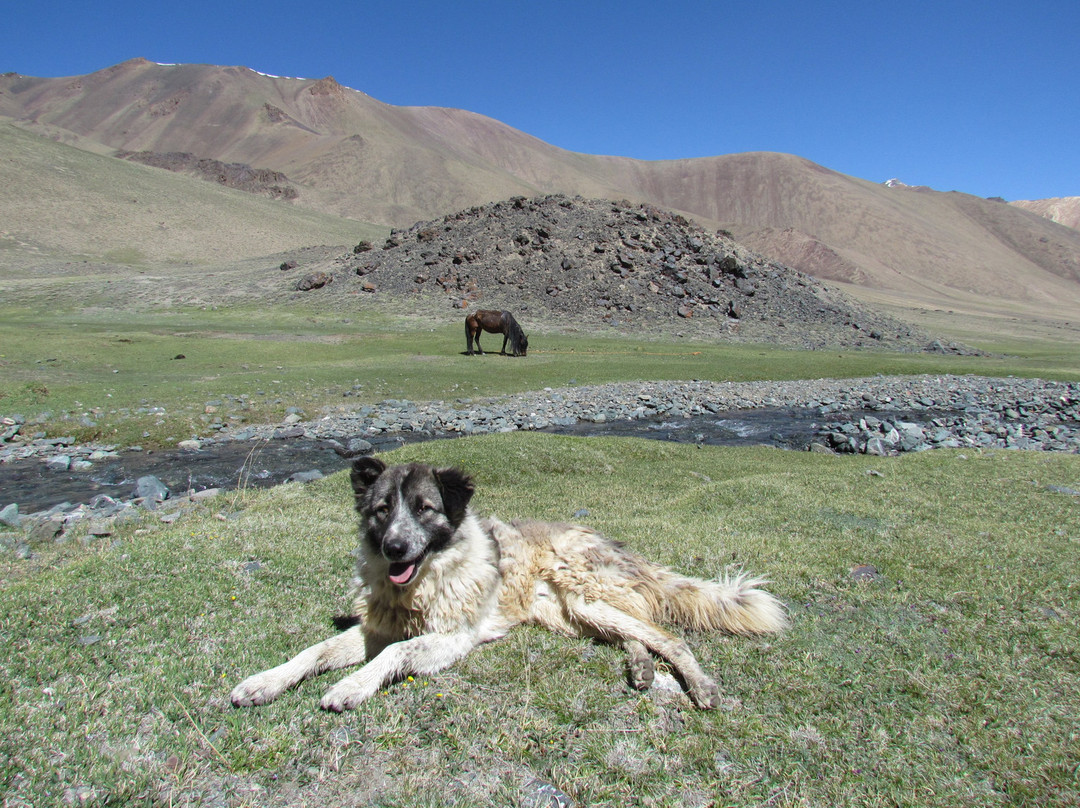 Tour Organizer Tajikistan景点图片