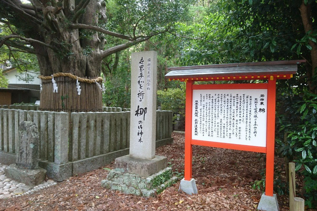 Kumano Hayatama Taisha Oshimboku Nagi-新宫市必去景点