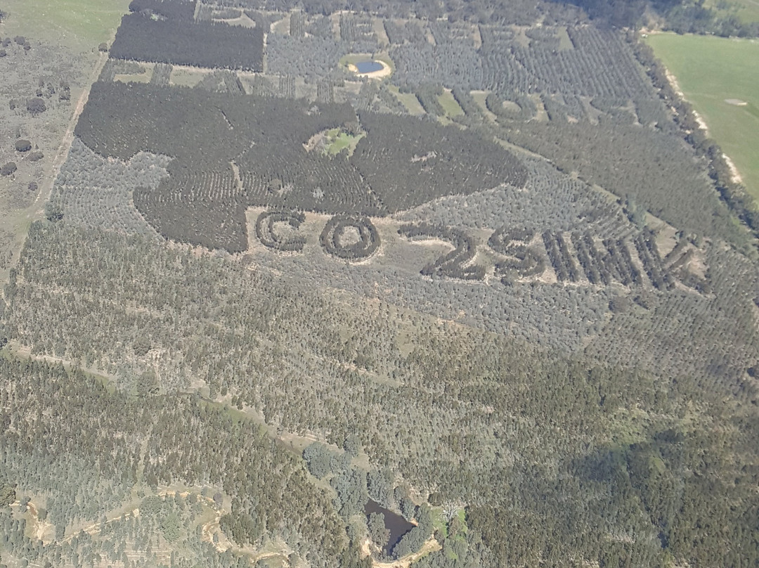 Grampians Helicopters-Stawell必去景点