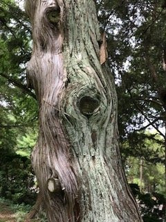 Rehoboth Art League-里霍博斯比奇必去景点