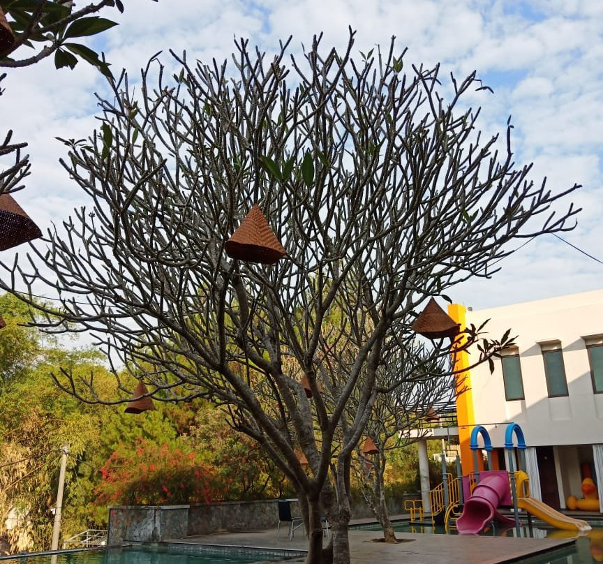 El Hotel Malang主图