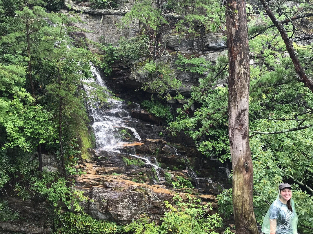 Tory's Falls景点图片