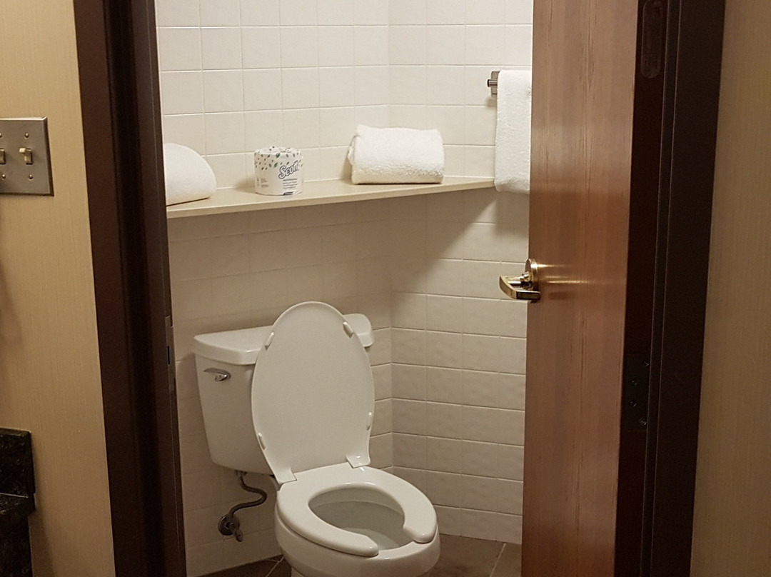 Drury Inn & Suites Frankenmuth主图