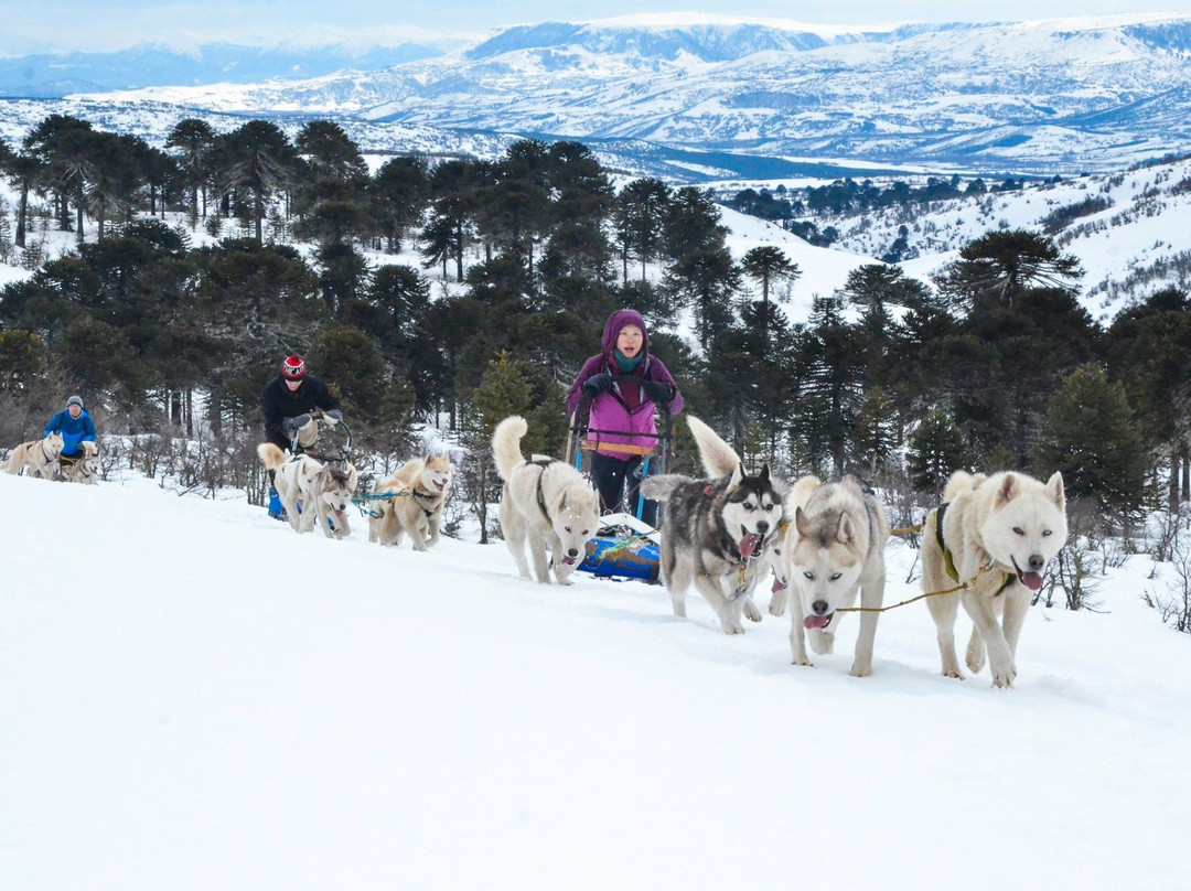 Husky Point-Curacautin必去景点