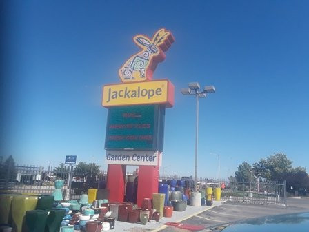 Jackalope Albuquerque-阿尔伯克基必去景点