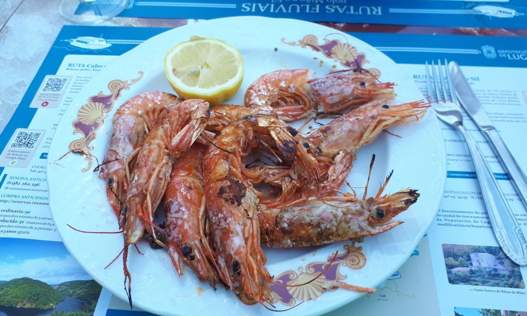 Rinlo酒店住宿-O Lar de Carmina