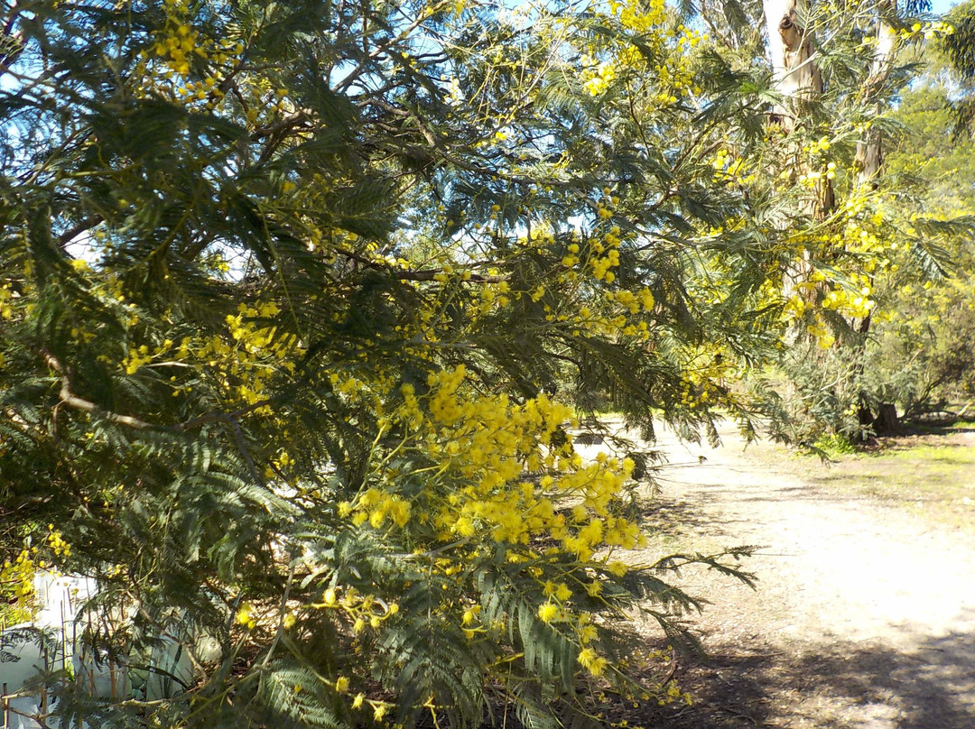 Beaconsfield Flora & Fauna Reserve-Beaconsfield必去景点