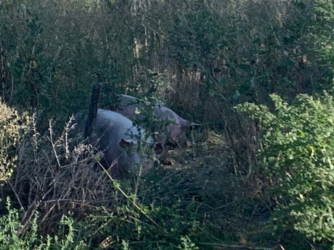 Ferme du Cabri au Lait-Sepmes必去景点
