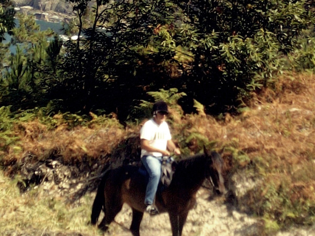 Aventuras a Caballo-Lamuno必去景点