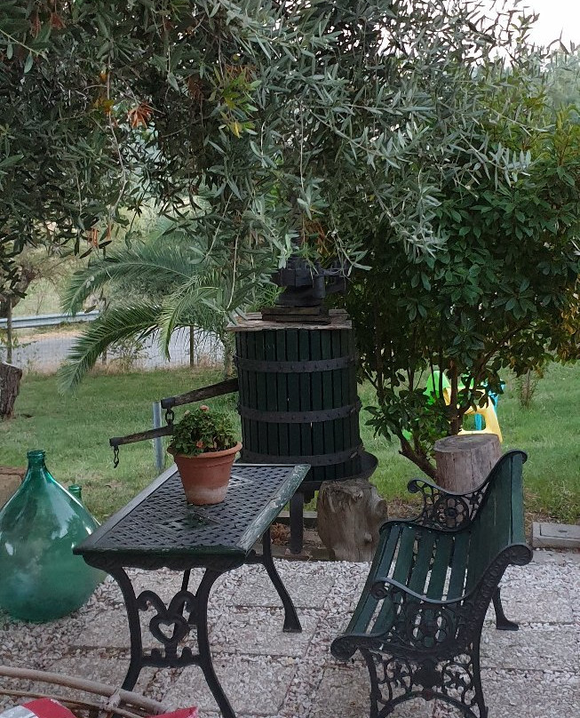 B&b Sotto L'Ulivo主图
