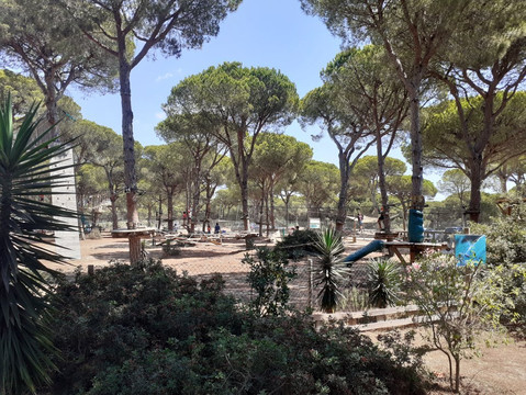 Entre Ramas Aventura-Conil de la Frontera必去景点