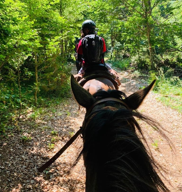 Sherpa Horse Riding-Galicnik必去景点
