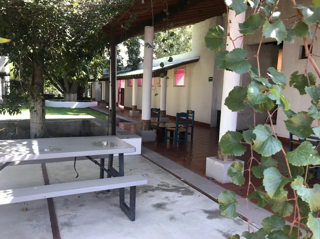 Casa Maru Hotel主图