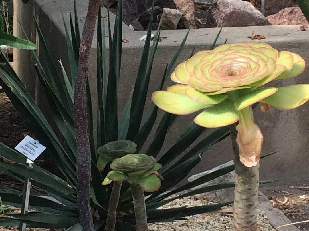 Botanischer Garten-哈雷必去景点