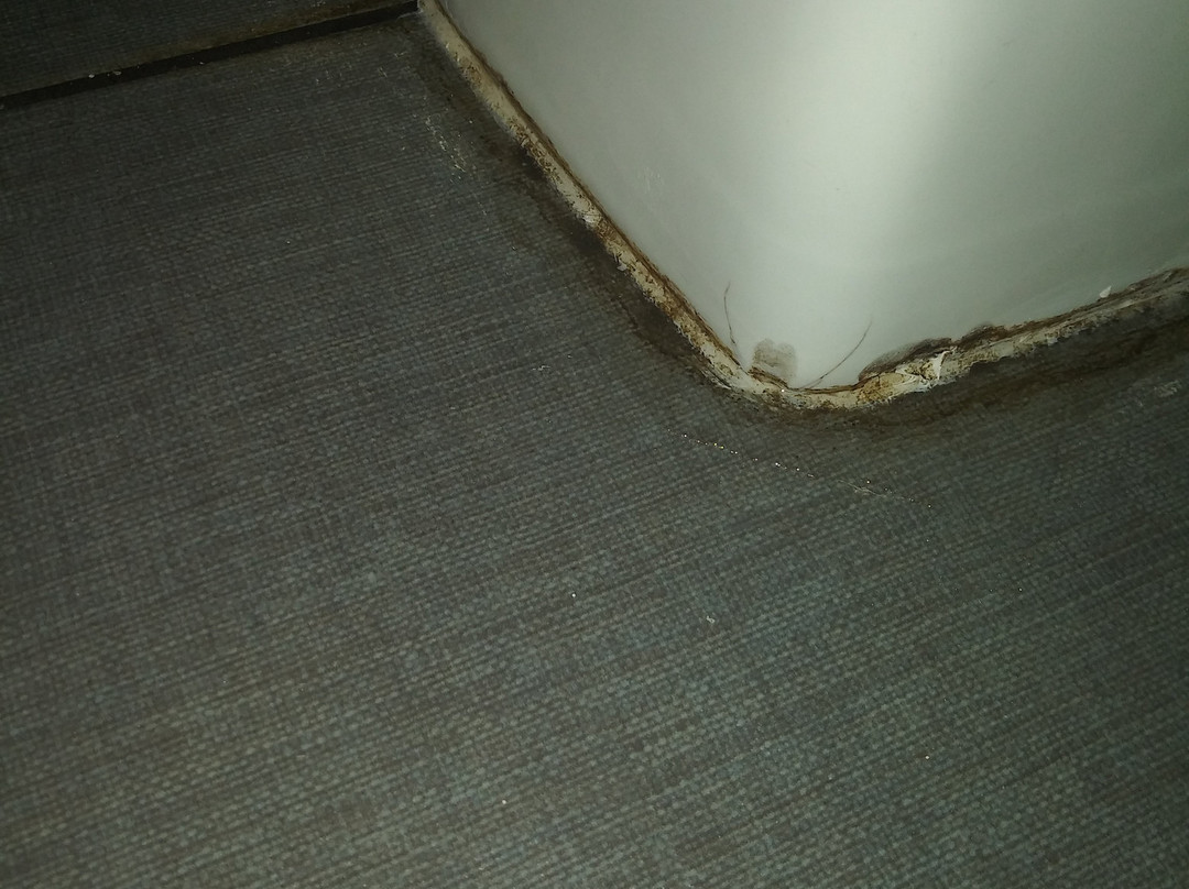 Days Inn by Wyndham Enterprise主图