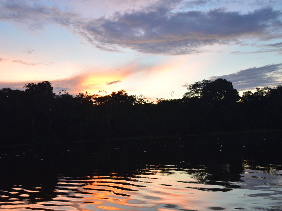 Amazon Maguta Jungle Lodge景点图片