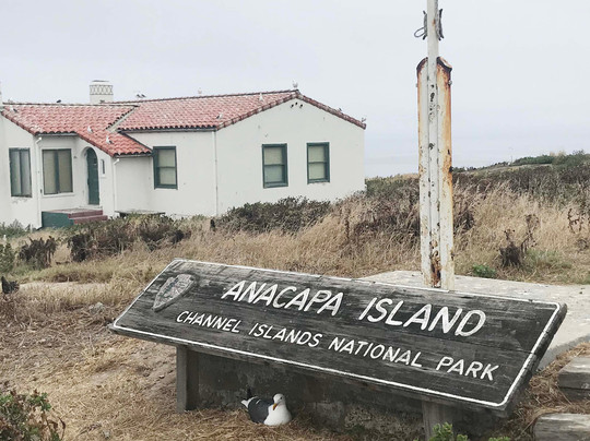 Anacapa Island-峡岛国家公园必去景点