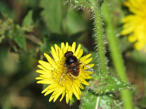 Deeping Lakes-Deeping St James必去景点