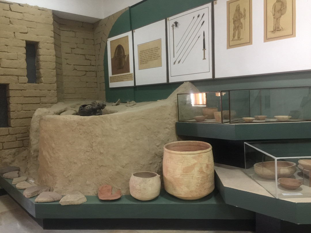 State Museum of Culture History of Uzbekistan-撒马尔罕必去景点