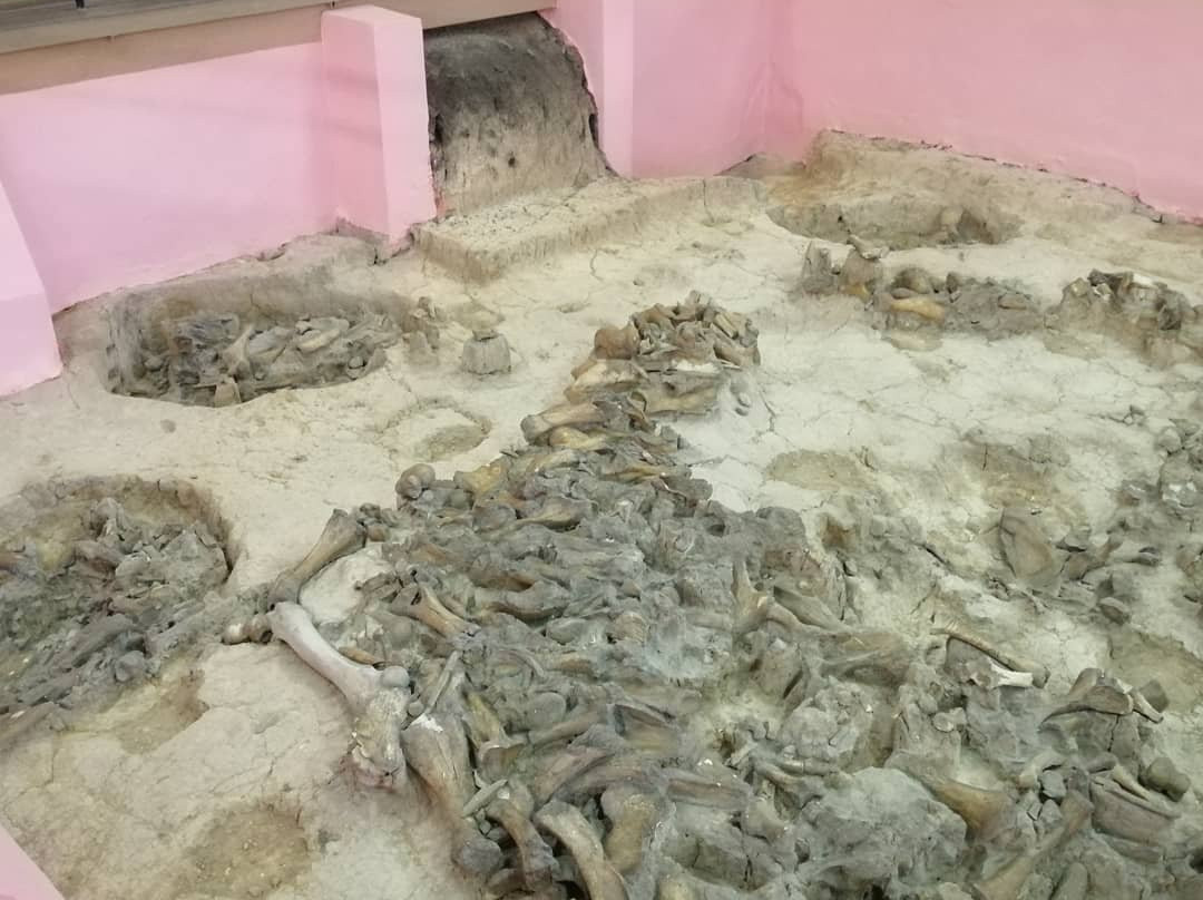 Kostenki State Archeological Museum Preserve-Kostenki必去景点